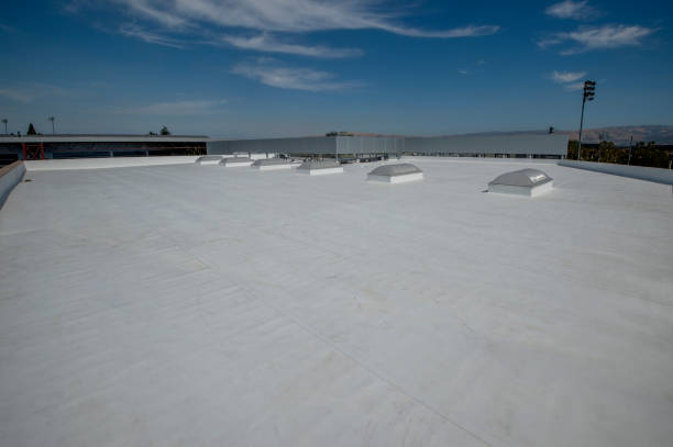 Best Sheet Metal Roofing  in Bally, PA