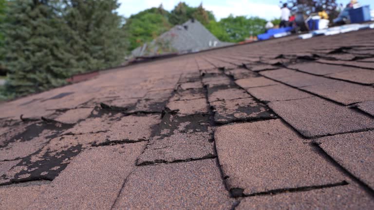 Best Roof Ventilation Installation  in Bally, PA