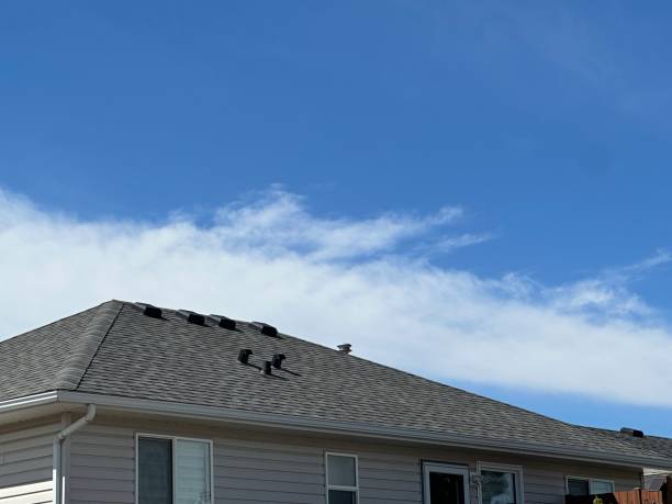 Best Asphalt Shingles Roofing  in Bally, PA